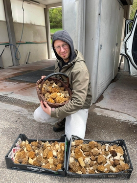 Harvest 2