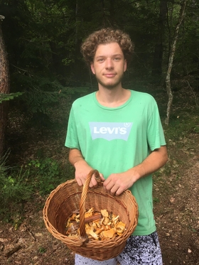 Harvest 7