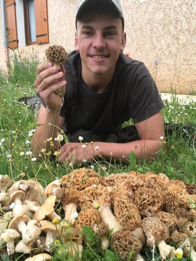 Harvest 9