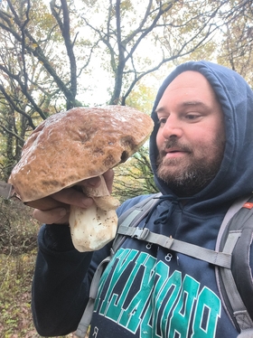 Harvest 18