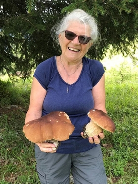 Harvest 20