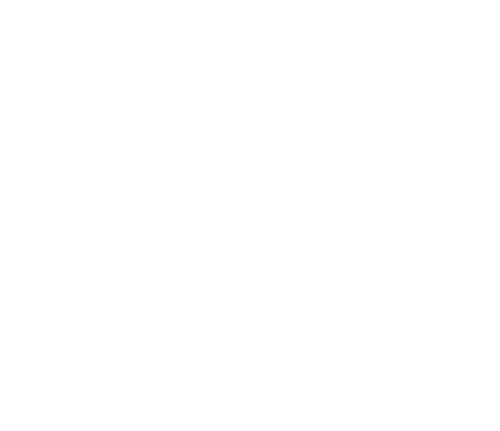PASS BOLETUS