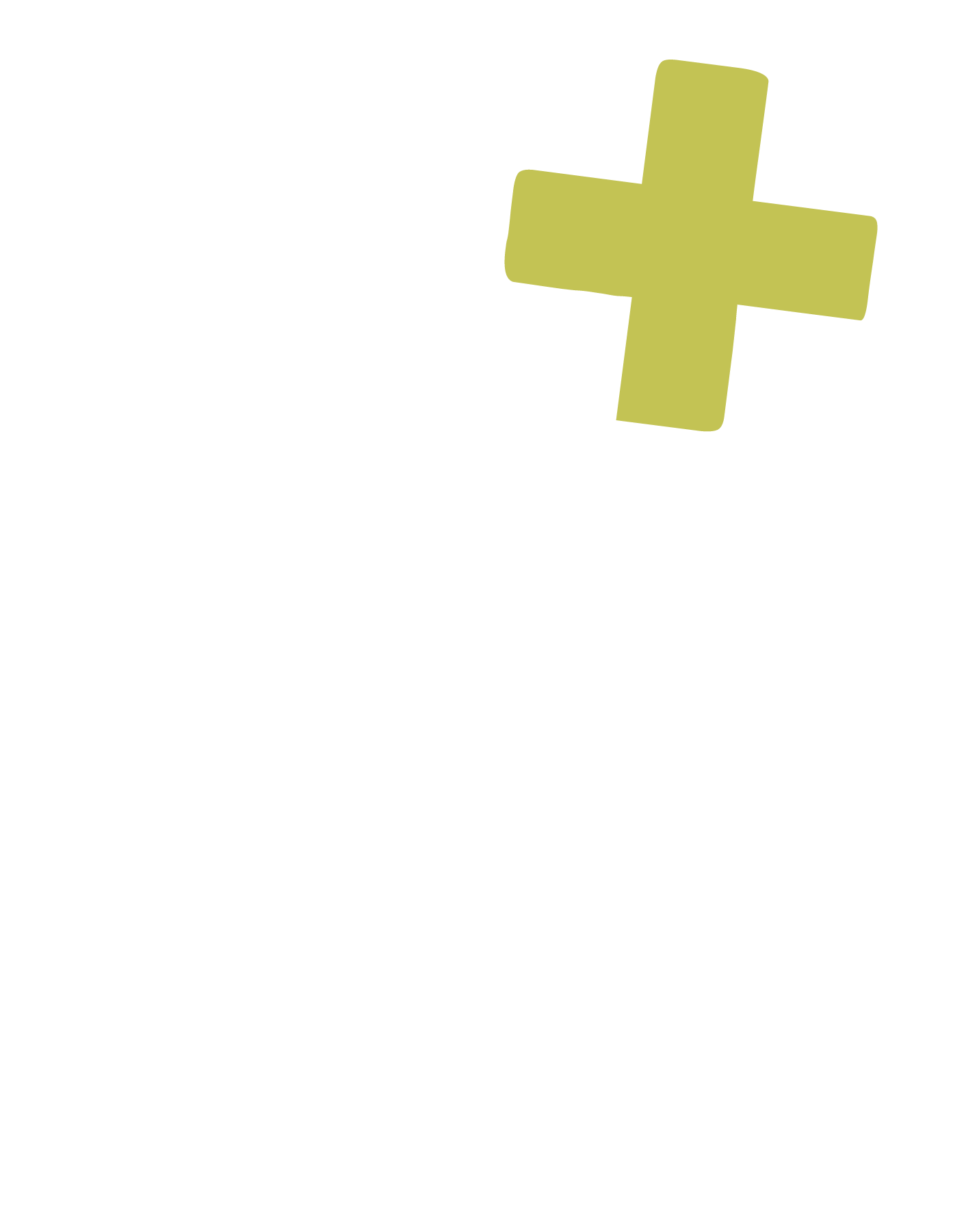 RECOLECCIÓN PLUS